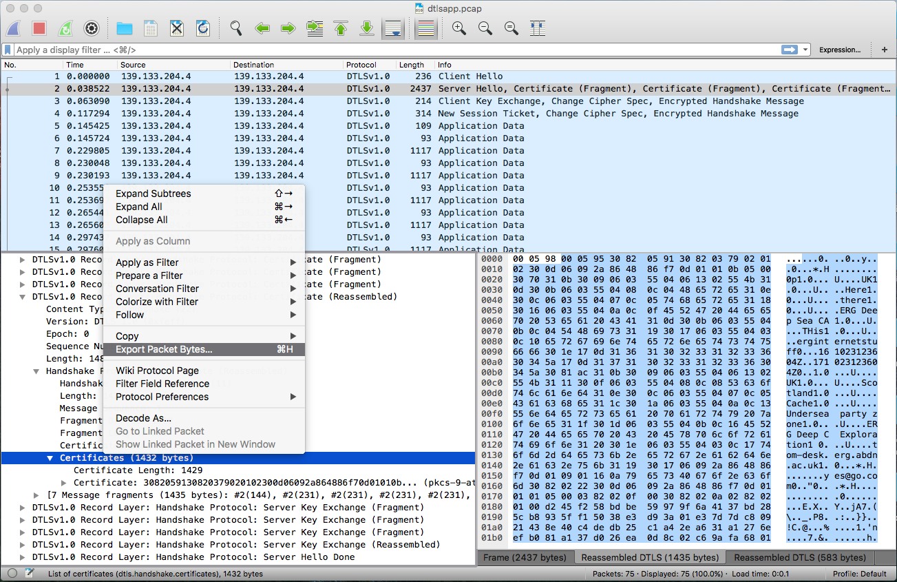 wireshark certified network analyst certification